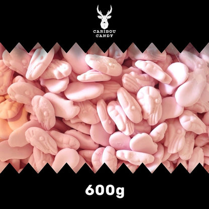 Foam Shrimps - Foam Sweets - Caribou Candy