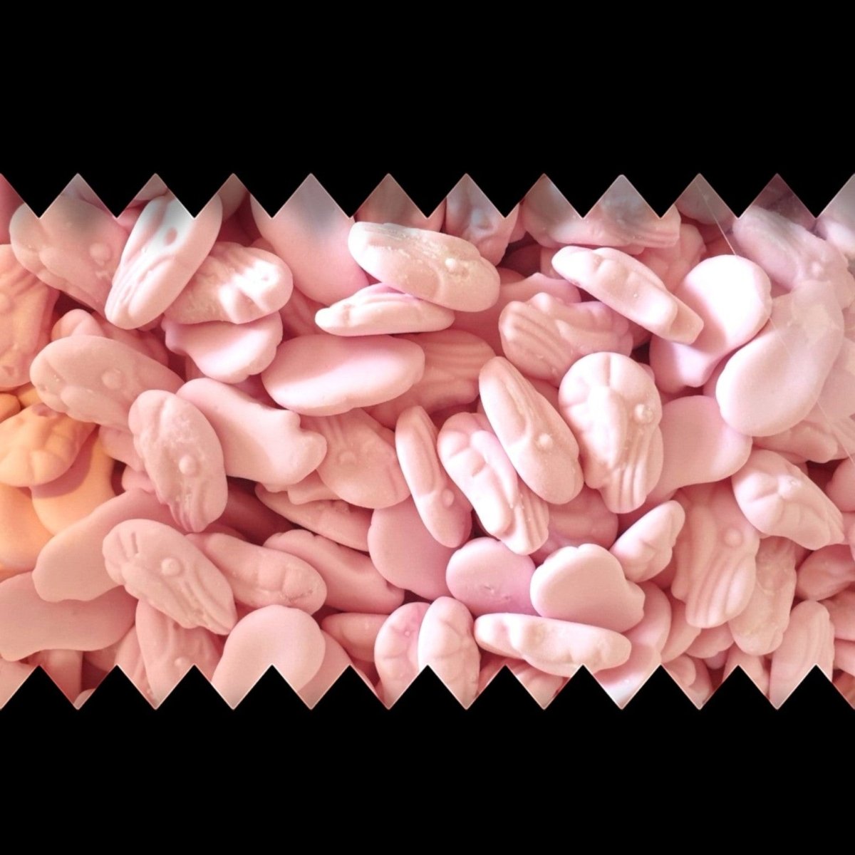 Foam Shrimps - Foam Sweets - Caribou Candy