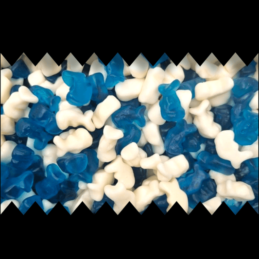 Gummy Baby Dolphins - Gummy Sweets - Caribou Candy